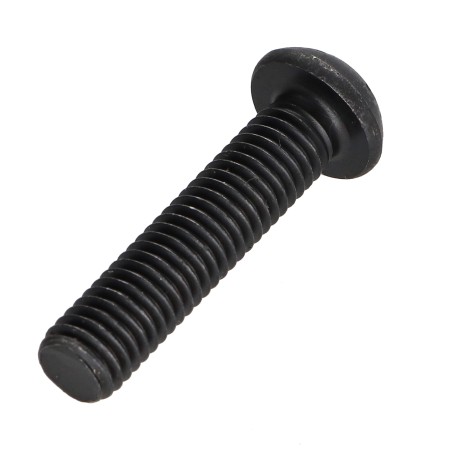 1 x Machine Screw Pan Head T25 M5X30 Class 10.9 Steel