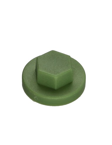 1 x Cap Hexagonal Head Polyethylene...
