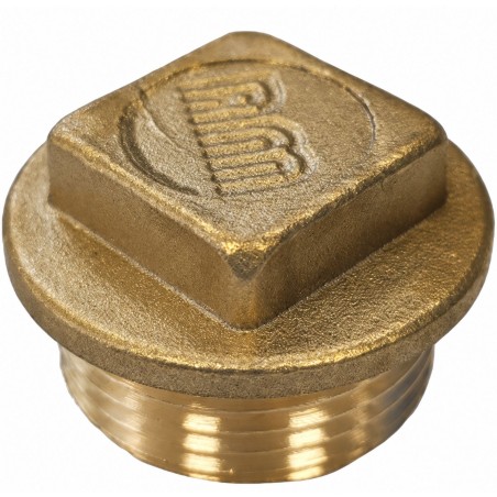 1 x Male plug Figure 290 40x49 (1"1/2) Square Head Brass
