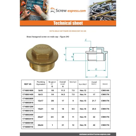 1 x Male plug Figure 290 40x49 (1"1/2) Square Head Brass
