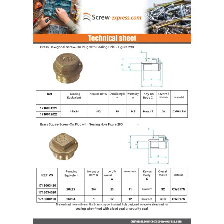 1 x Male plug Figure 290 26x34 (1") flat head Brass