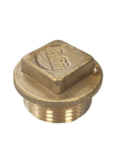 1 x Male plug Figure 290 50x60 (2") Square Head...