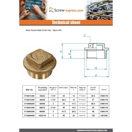 1 x Male plug Figure 290 50x60 (2") Square Head Brass