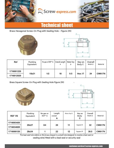 1 x Male plug Figure 290 50x60 (2") Square Head...