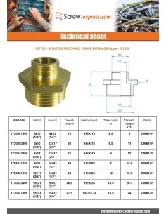 Reduced nipple figure 245 Male / Male 50X60 X 66X76 Brass 2