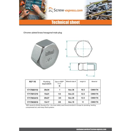1 x Female plug Figure 300 5x10 (1/8") Brass