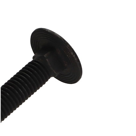 1 x Carriage Bolt Stainless Steel A2 M8X80 Black Partial Thread