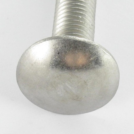 1 x Carriage Bolt Stainless Steel A2 M5X50 Partial Thread