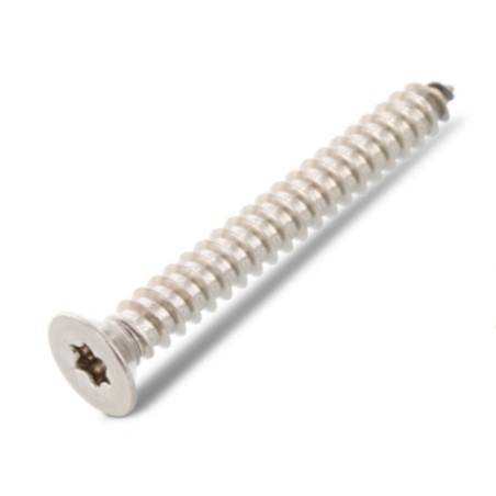 1 x Thread Rolling Screw Countersunk Head 3.9X19 T15 Stainless Steel A4