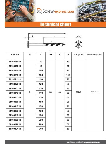 1 x Carpenter Screw Disc Head Stainless Steel...