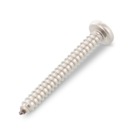 1 x Thread Rolling Screw Cylindrical Button Head 4.8X22 T25 Stainless Steel A4