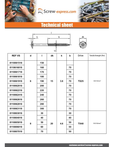 1 x Carpenter Screw Disc Head Stainless Steel...