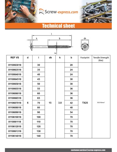 1 x Carpenter Screw Disc Head Stainless Steel...