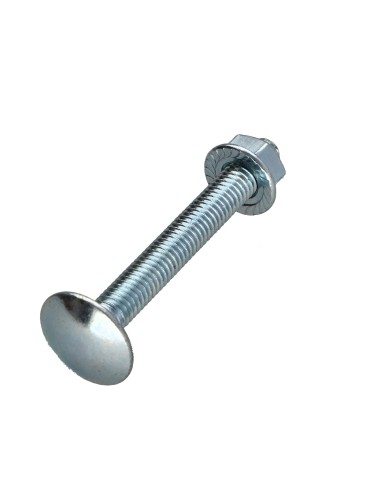 1 x Box of 50 T.CAR 6X50 + 50 Nut With...