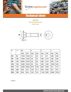 Carriage Bolt M10X155 Partial Thread Zinc Plated 2