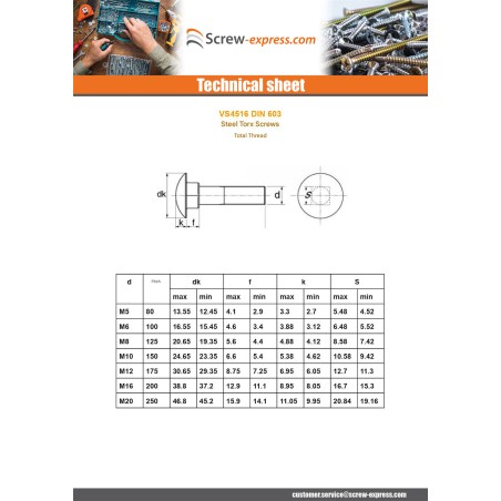 1 x Carriage Bolt M10X30 Full Thread Class 8.8 Zinc Plated