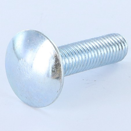 1 x Carriage Bolt M10X20 Full Thread Class 8.8 Zinc Plated
