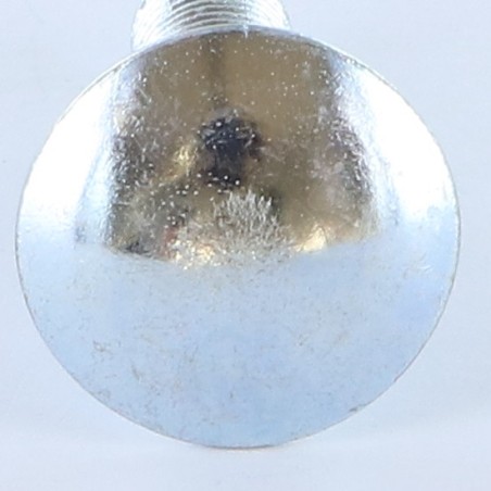 1 x Carriage Bolt M10X20 Full Thread Class 8.8 Zinc Plated