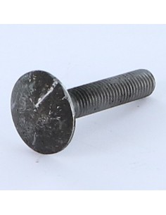 Carriage Bolt M7X35 Pitch 100 Full Thread Steel