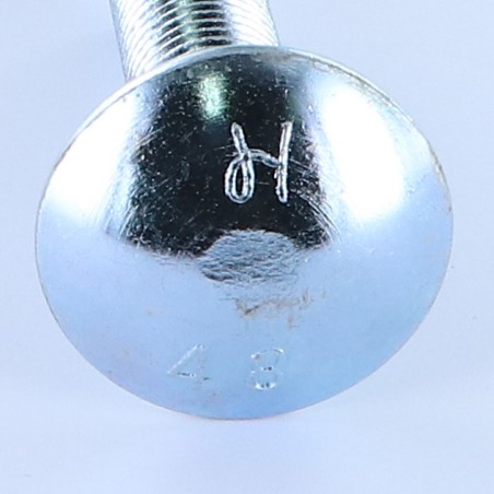 1 x Carriage Bolt M16X50 Full Thread Class 8.8 Zinc Plated
