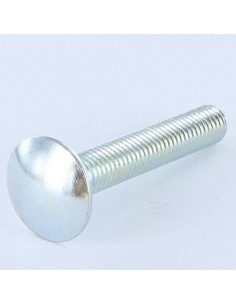 Carriage Bolt M10X25 Full Thread Zinc Plated