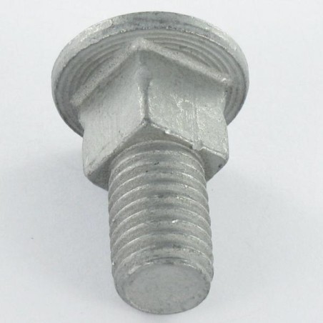 1 x Carriage Bolt M10X25 Thread Length: 14 Square Thickness 10 Geomet 500A steel No Red Rust