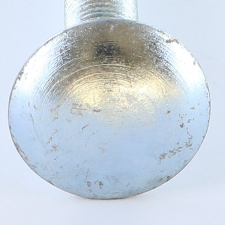 1 x Carriage Bolt M10X110 Full Thread Zinc Plated