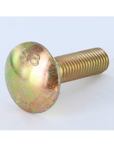 1 x Carriage Bolt M10X20 Full Thread Yellow Zinc