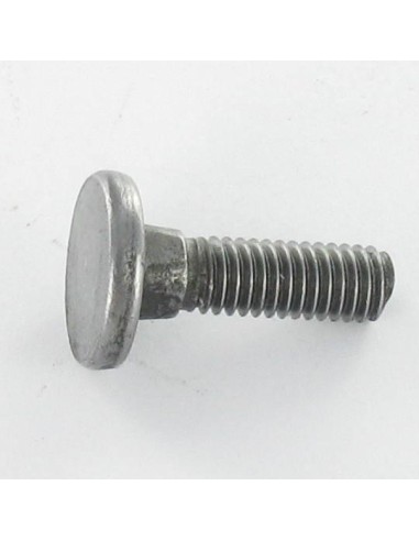 1 x Screw Flat Head Square Neck Carriage M8X25...