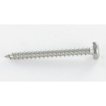 1 x Chipboard Screw Round Head 3X15 T10 Zinc Plated micro screw