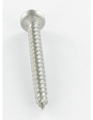 1 x Chipboard Screw Round Head 4X20 T20 Zinc...