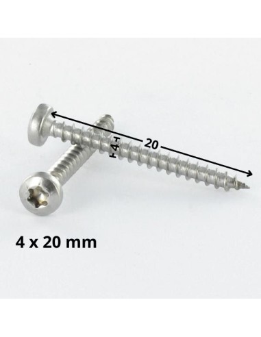 1 x Chipboard Screw Round Head 4X20 T20 Zinc...