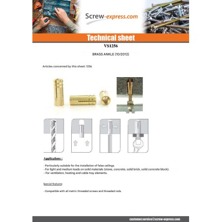 1 x Plug Brass 10X28 M8