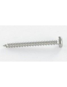 Chipboard Screw Round Head 5X25 T25 Zinc Plated 2