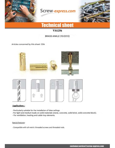 1 x Plug Brass 8X23 M6