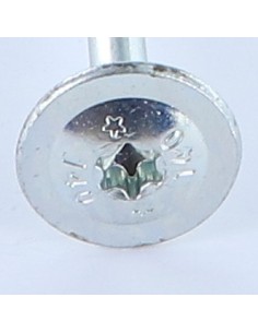 Chipboard Screw Disc Head Screw T25 5X100 Zinc Plated 2