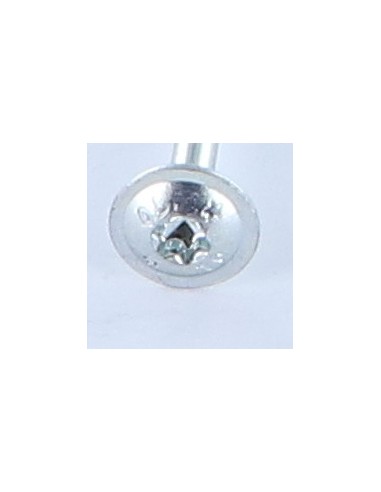 1 x Chipboard Screw Disc Head Screw T25 5X100...