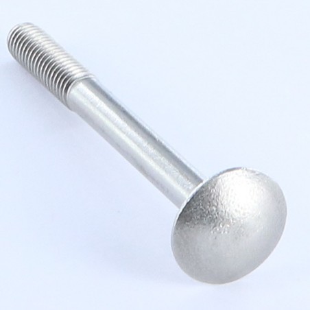 1 x Carriage Bolt M16X260 Partial Thread Zinc Plated