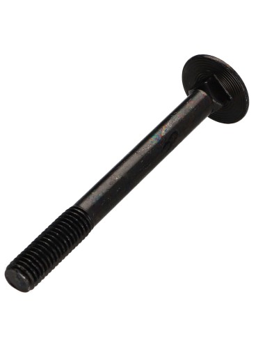 1 x Carriage Bolt M7X80 Pitch 100 Partial...