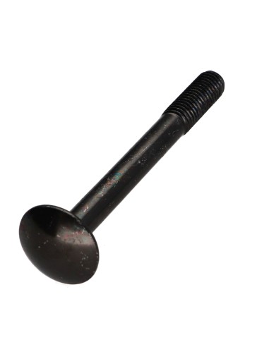 1 x Carriage Bolt M7X60 Pitch 100 Partial...