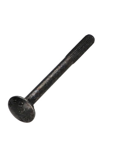 1 x Carriage Bolt M5X55 Partial Thread Black...