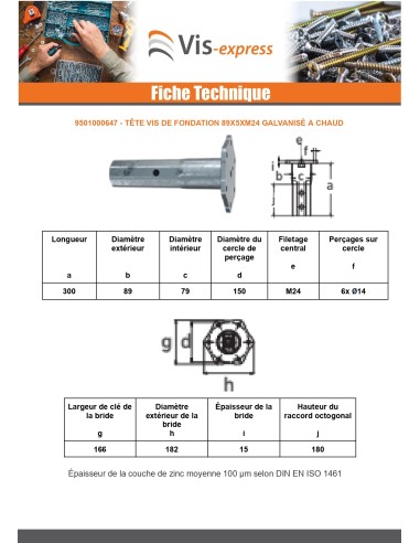 1 x Foundation screw head 89X5XM24 Hot Dip...