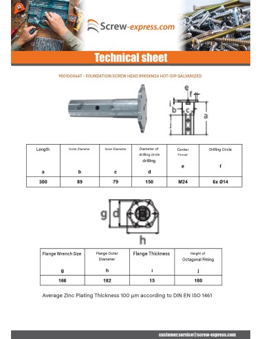 1 x Foundation screw head 89X5XM24 Hot Dip...