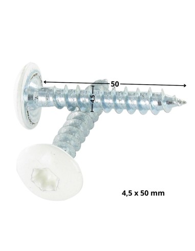 1 x Screw Truss 4.5X50 Full Thread T20 Zinc...