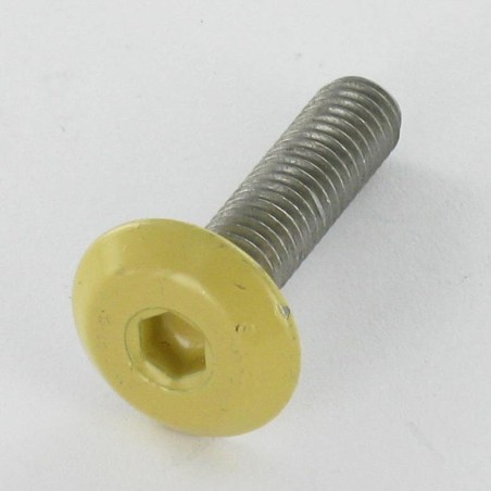 1 x Machine Screw flat Hexagon Socket 4 M6X25 Zinc Plated Head RAL1002