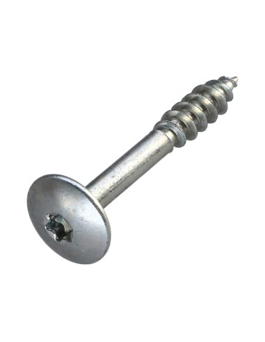 1 x Screw Truss 7X50 Thread Length: 23 T30 Zinc...