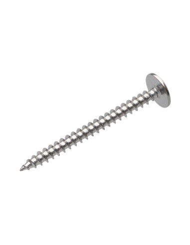 1 x Screw Truss 4.5X50 Full Thread T20 Plain...