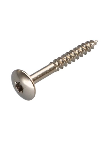 1 x Screw Truss 5X40 Full Thread T20 Nickel Plated
