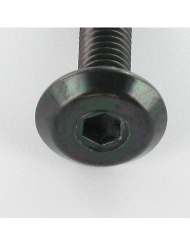1 x Machine Screw flat Hexagon Socket 4 M6X20...