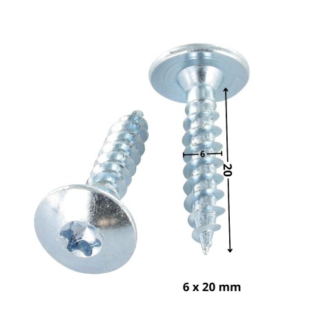 1 x Screw Truss 6X20 Full Thread T30 Zinc Plated
